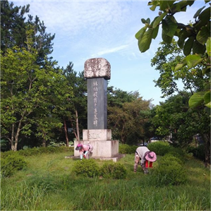 임병직박사 추모비