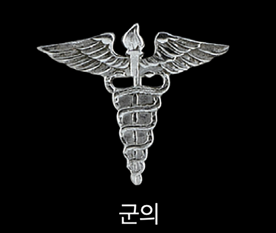 50년대 병과 휘장4