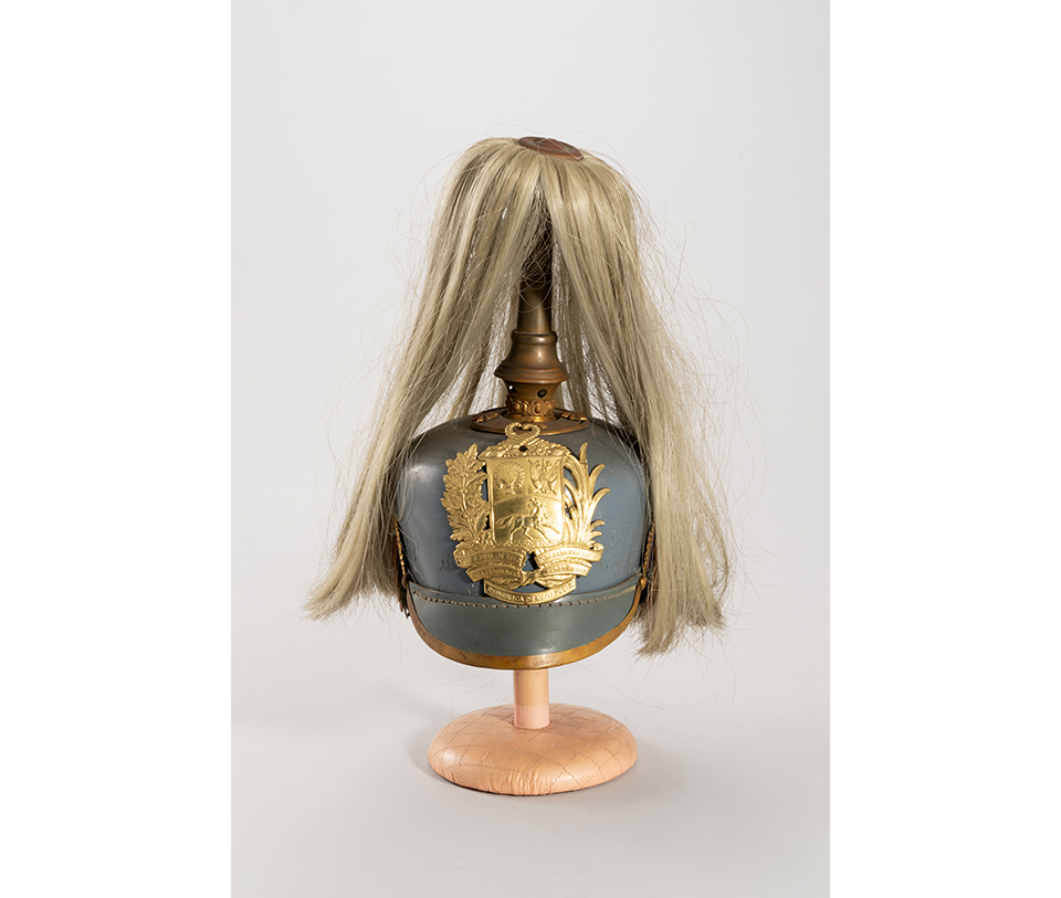 베네수엘라 생도모